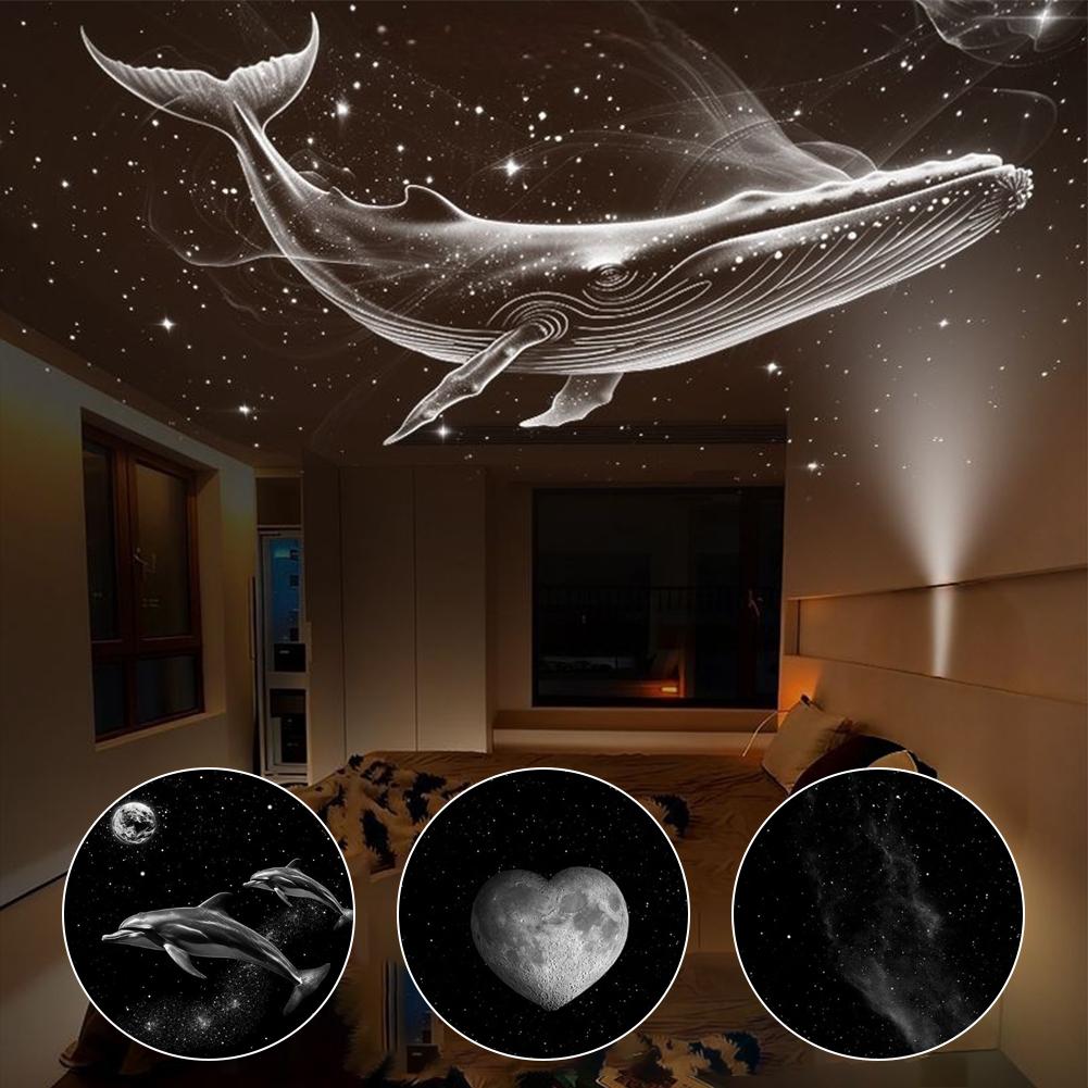 Slide Pengganti Proyektor Bint - Planetarium Projector Home ulasan dan harga